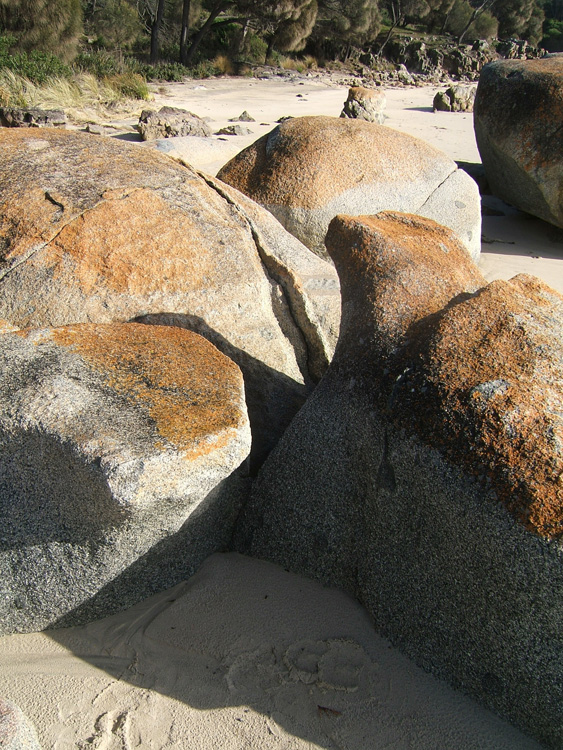  5.Rocks, Bridport Beach